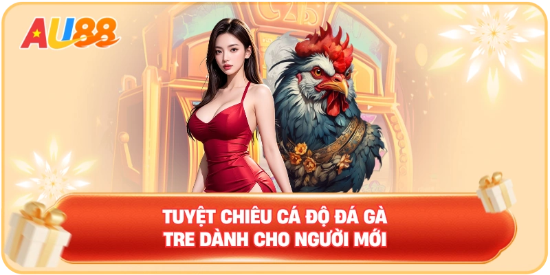 Tuyệt chiêu cá độ đá gà tre dành cho người mới